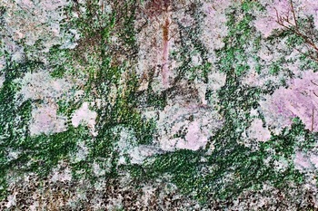 N 157F